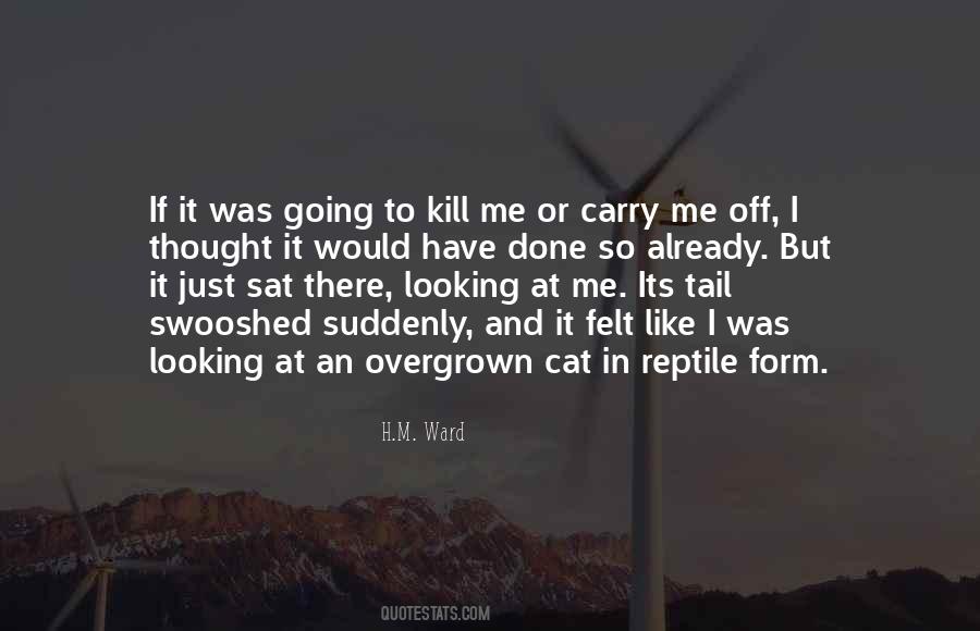Overgrown Cat Quotes #1078375
