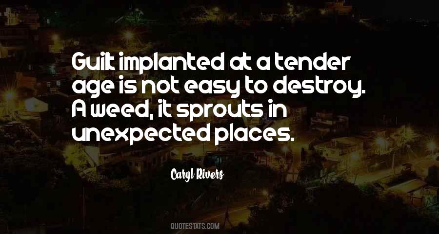 Mendrugos Quotes #770396