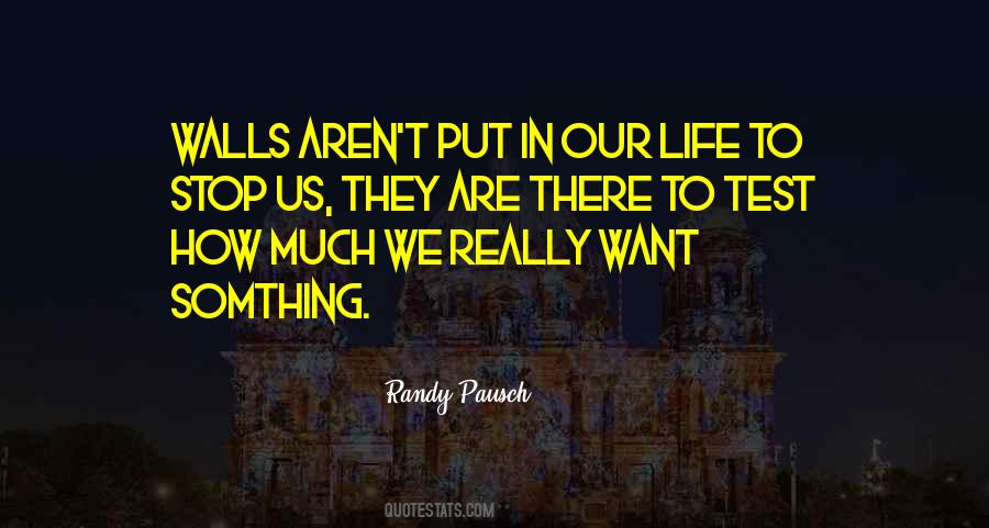 Angelfish Saltwater Quotes #1638138 Angelfish Saltwater Quotes #1638138