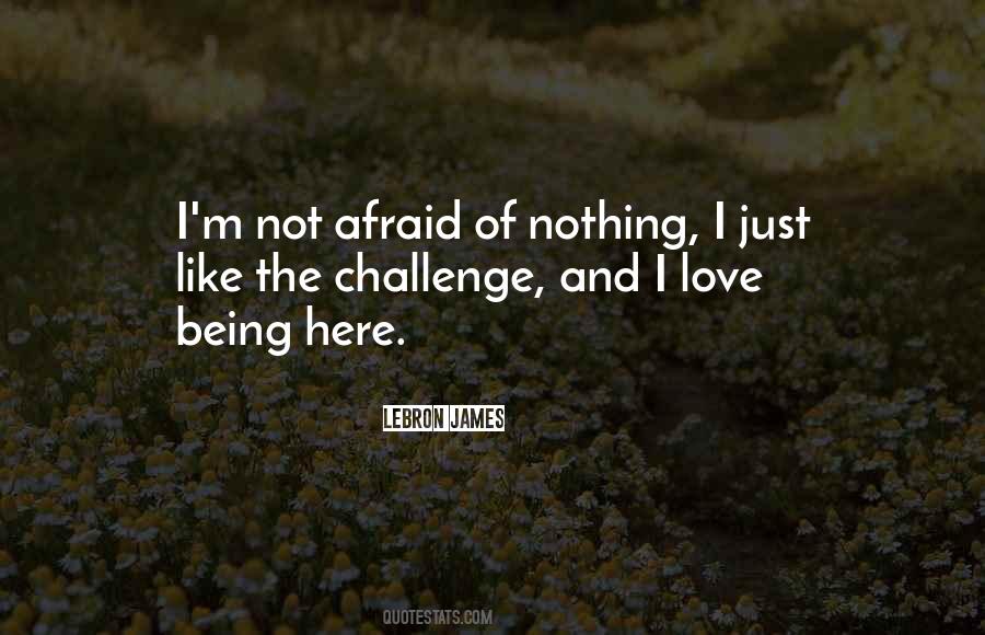 Princess Elestra Quotes #1867935