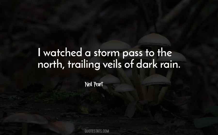 Storm Will Pass Quotes #1819508