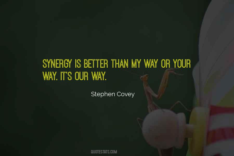 Covey Stephen Quotes #145487