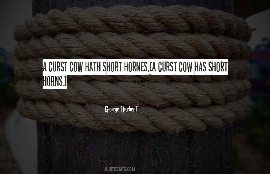 Ascription Vs Achievement Quotes #138243