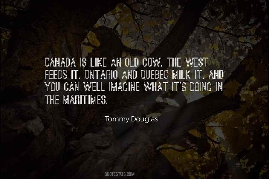 Cow Quotes #1168467