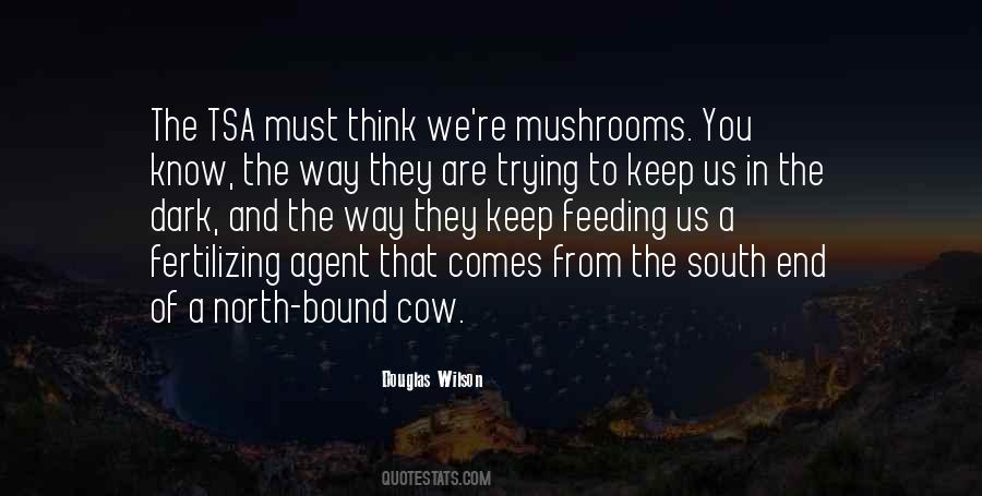Cow Quotes #1296403