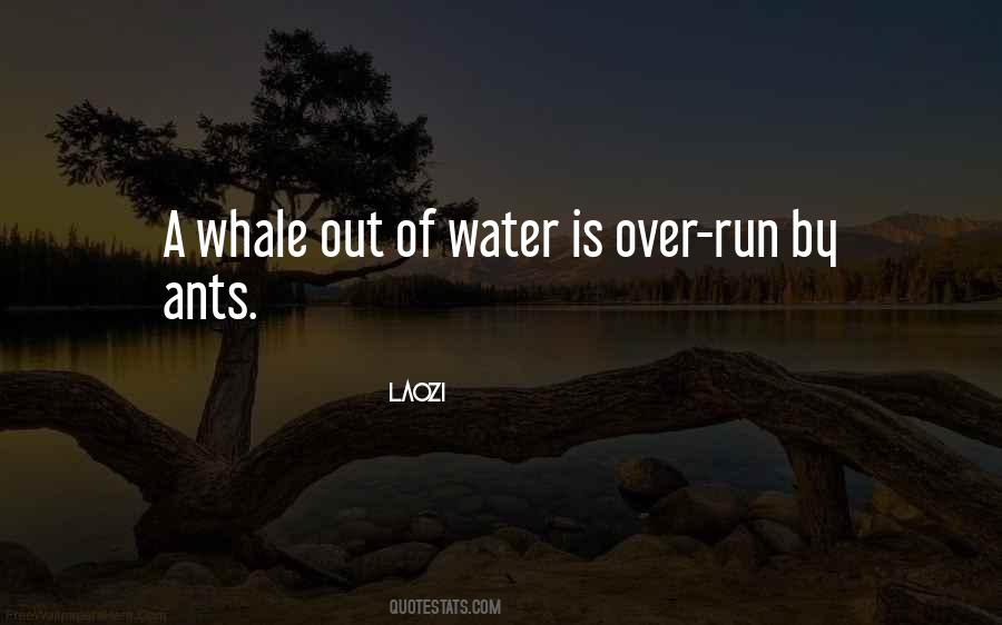 Umscheid Family Quotes #1547767