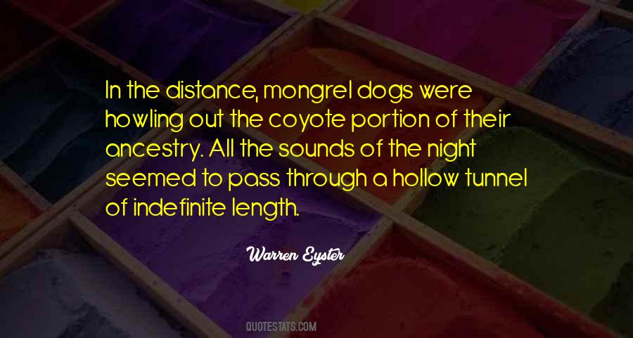 Coyote Quotes #385874