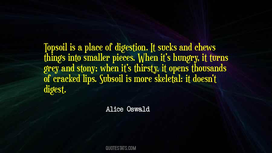 Cracked Lips Quotes #1792372
