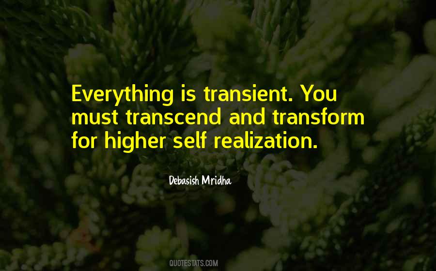 Transcend And Transform Quotes #908586