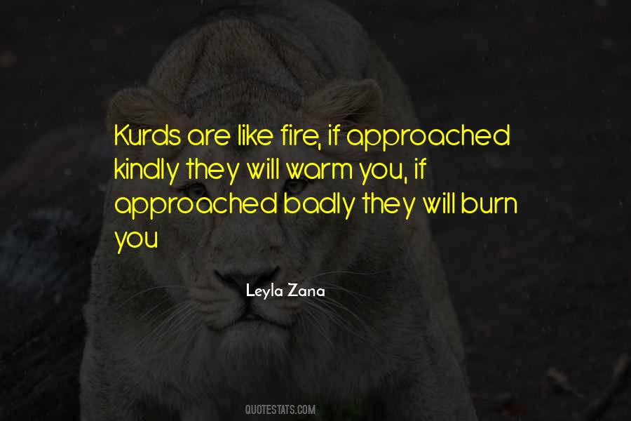 Burn Like Fire Quotes #797838