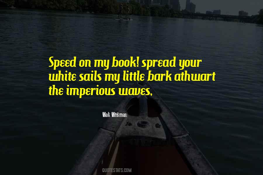 Your Sails Quotes #980024