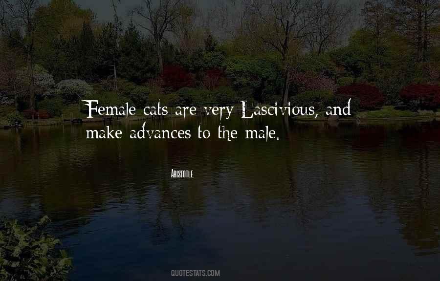 Dessy Collection Quotes #799226
