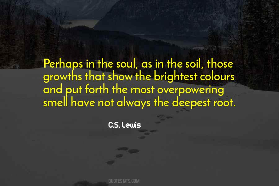 Leitura Online Quotes #996428
