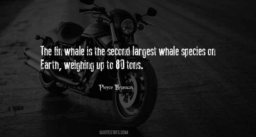 Society Eddie Vedder Quotes #577693