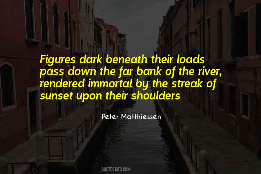 Crazy Silly Quotes #1367315