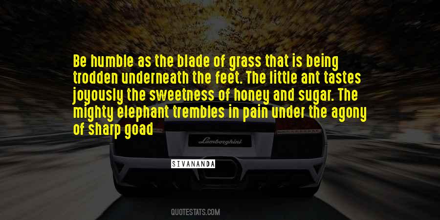 Sharp Blade Quotes #1568321