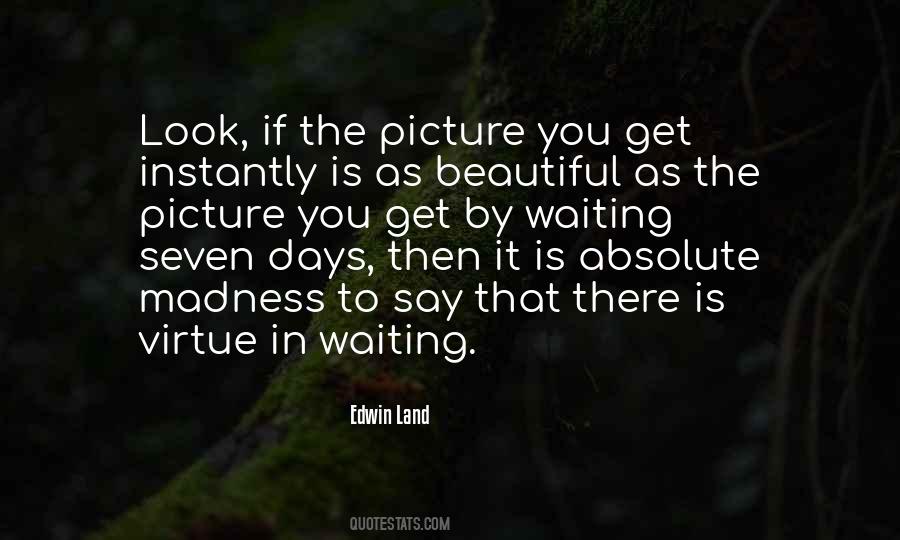 But Your Land Is Beautiful Quotes #472832