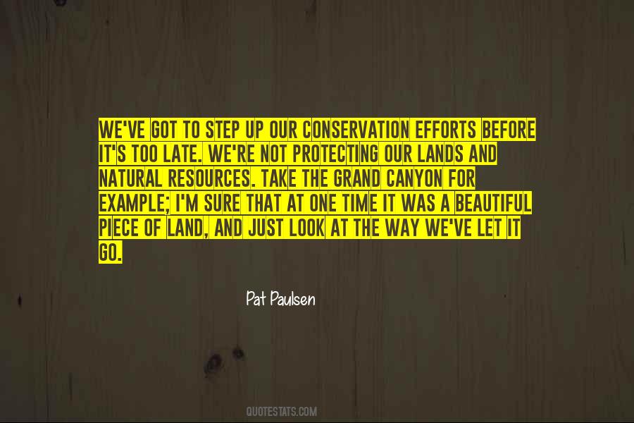 But Your Land Is Beautiful Quotes #592345