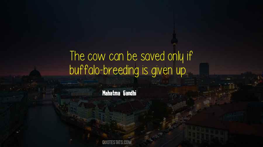 Escalinata Del Quotes #62648