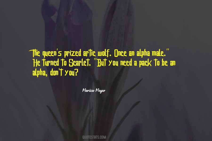 Kissock Ranch Quotes #528263