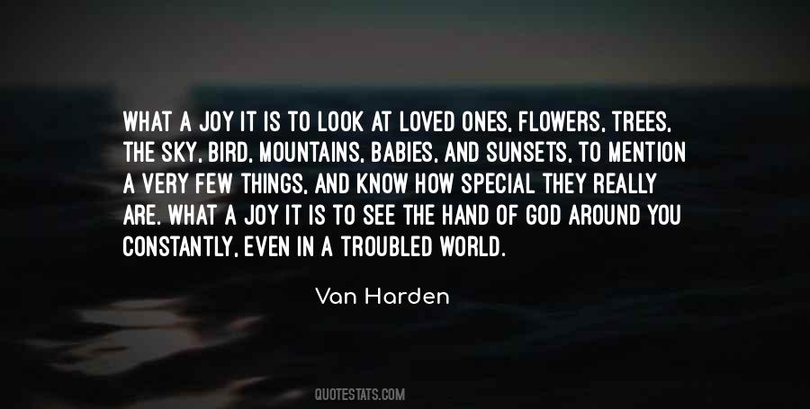 A Bird In The Hand Quotes #654987