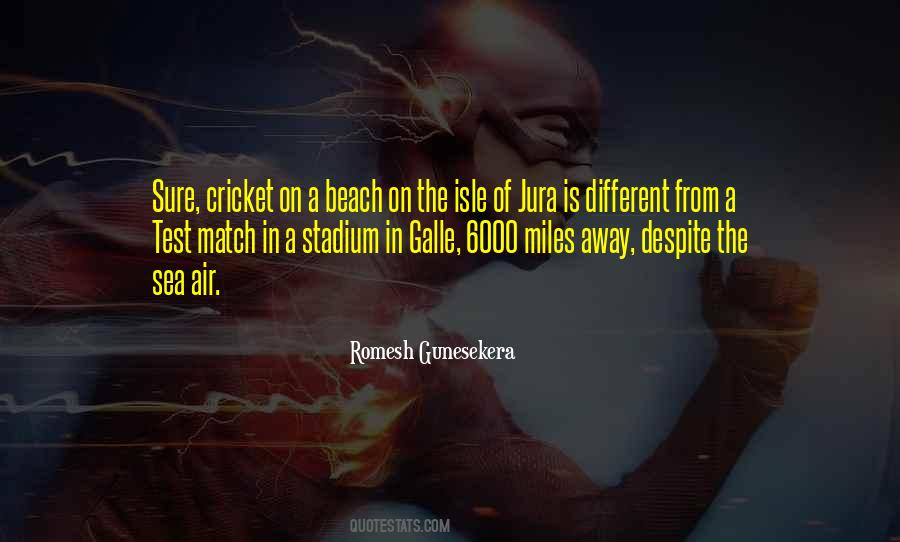 Cricket Stadium Quotes #121410