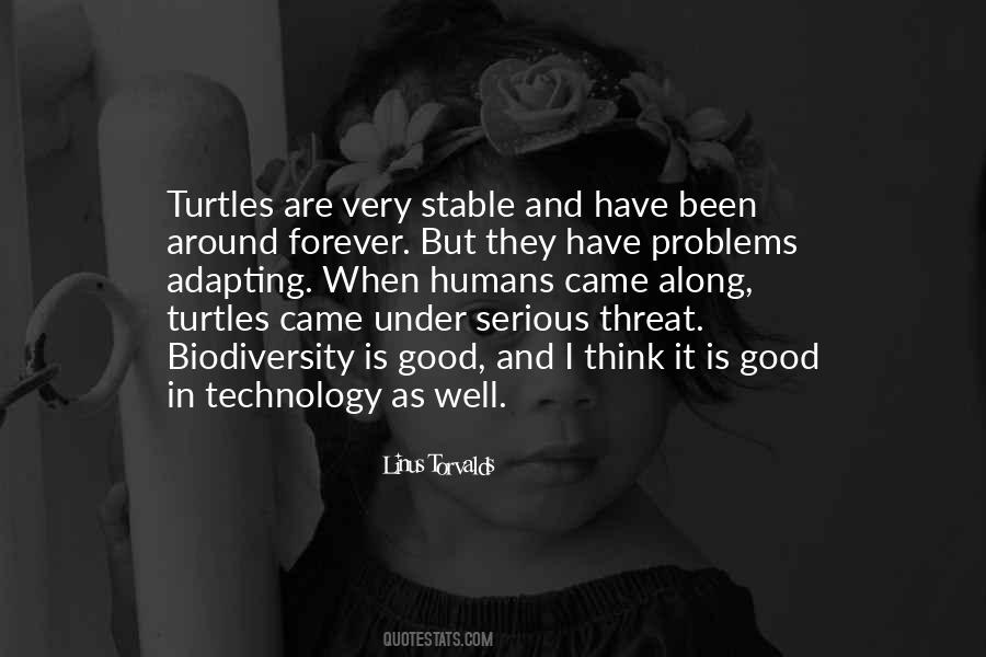 Ohayon Pediatrician Quotes #1472844