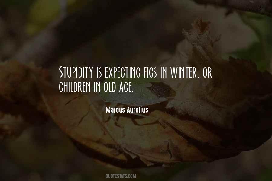 Marjories Beef Quotes #1667091