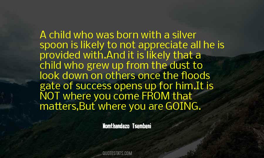 Born With A Silver Spoon Quotes #546227