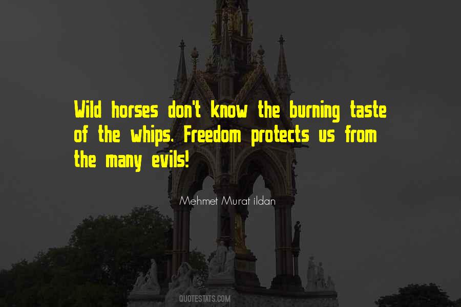 Minneapolis Web Designers Quotes #262788