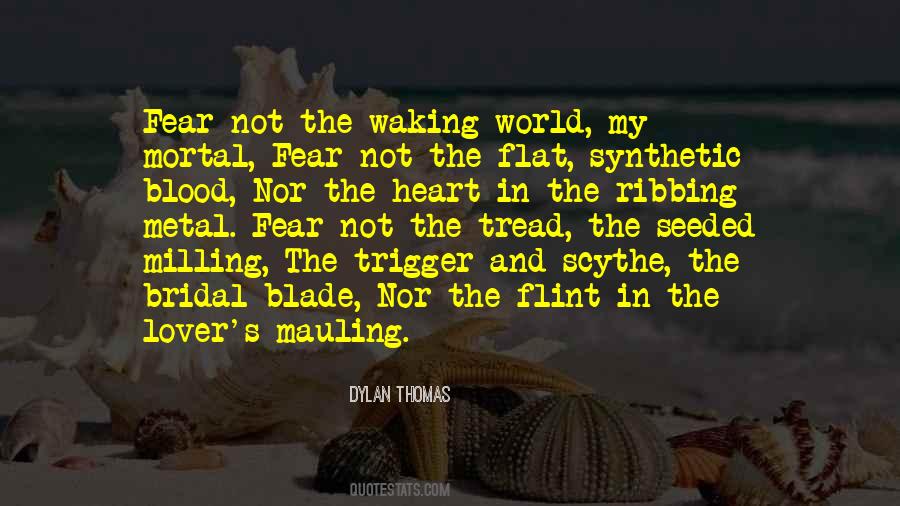 Non Synthetic Quotes #14558