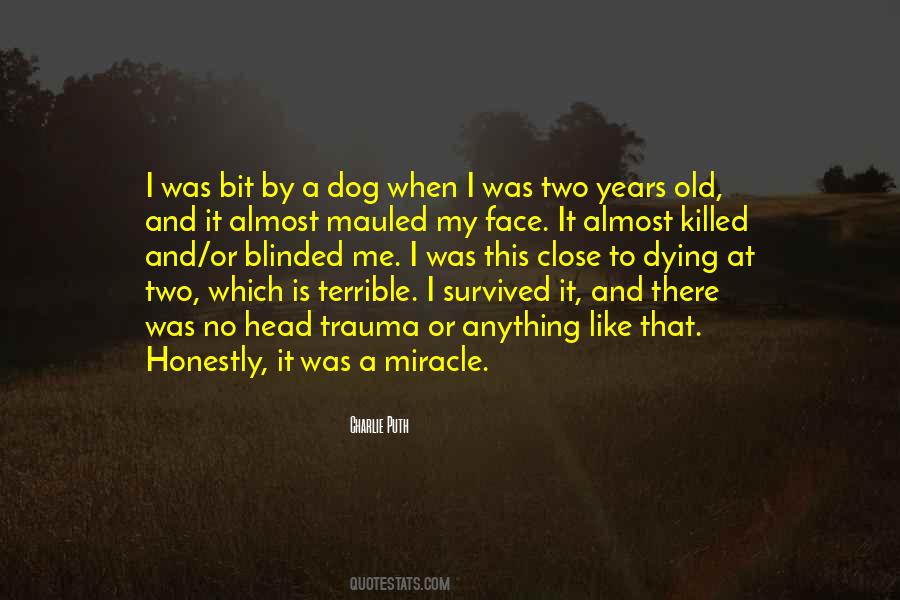 Bergstaden Quotes #713840