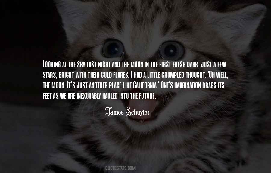 Devam Boca Quotes #1648054