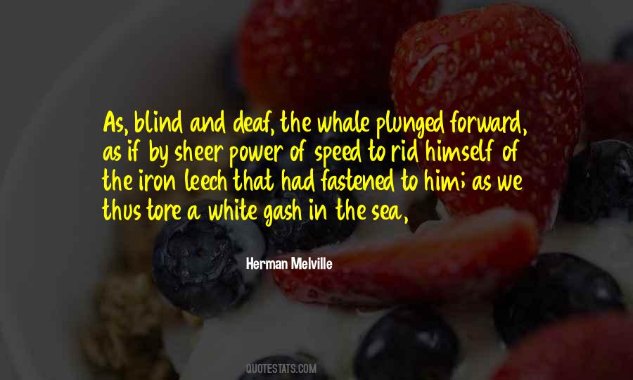 Wyder Quotes #819797