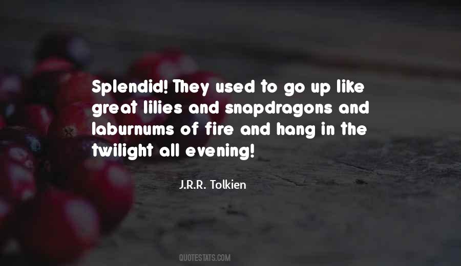Situations Of Demography Quotes #1268468