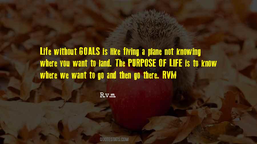 Quotes About Knowing Your Purpose In Life #1769330