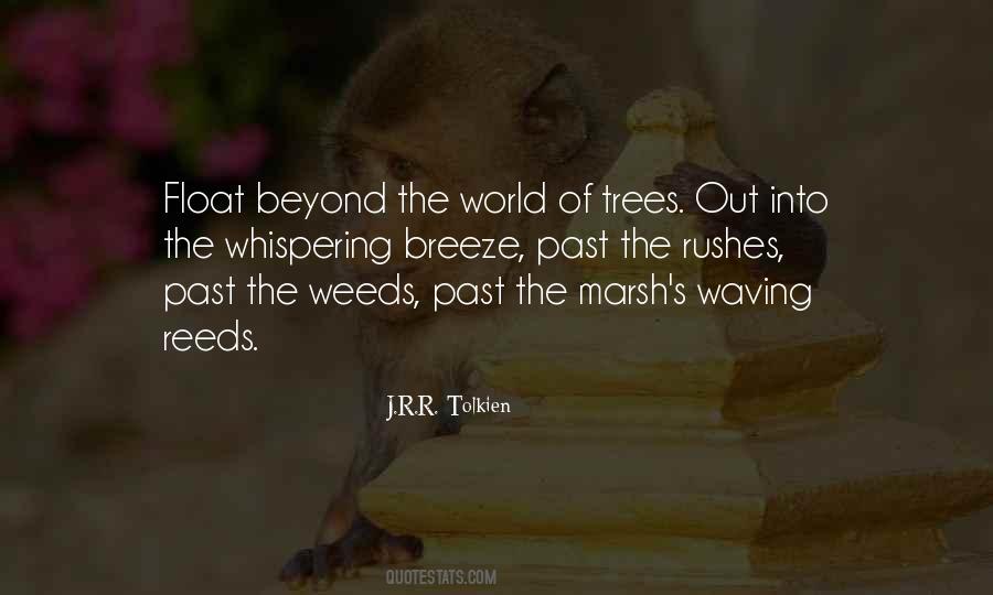 Belek Ping Quotes #180951