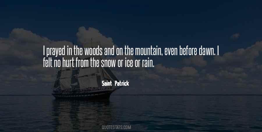On The Mountain Quotes #411803