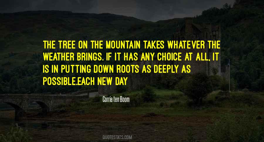 On The Mountain Quotes #565128