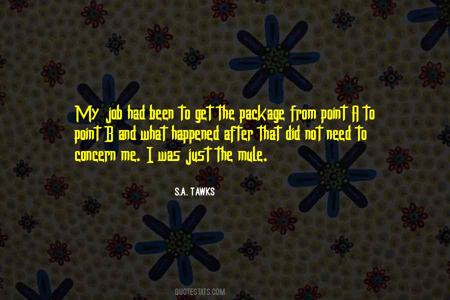 Netika Internet Quotes #1265454