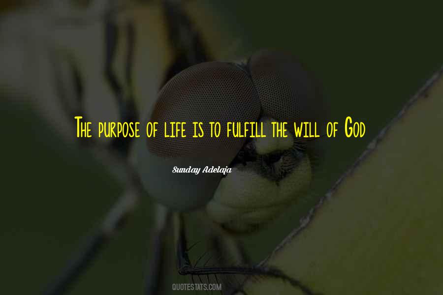Netika Internet Quotes #717284