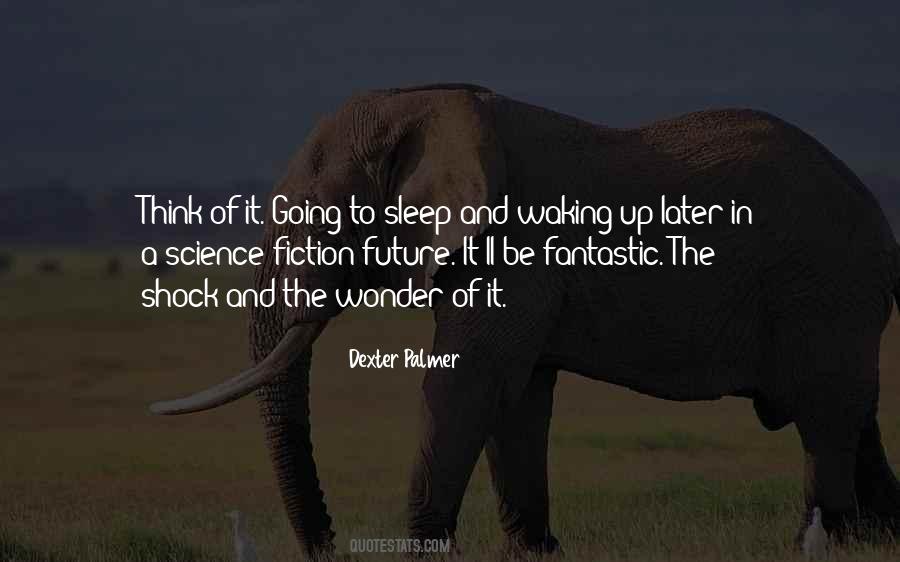 Dream Of Perpetual Motion Quotes #1445583