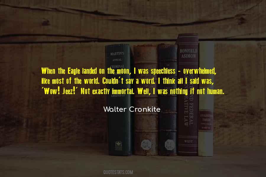Cronkite Quotes #70973