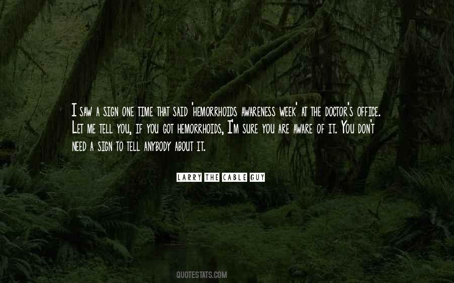 Daimer Commercial Steam Quotes #262292