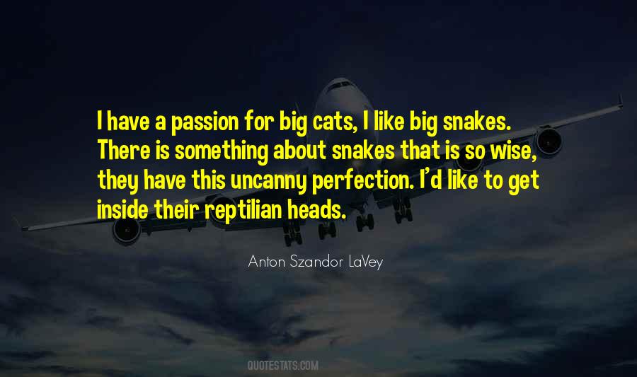 Zamotkina Quotes #309027