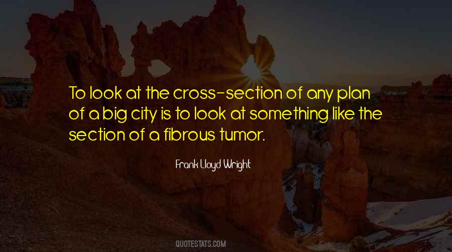 Cross Section Quotes #465914