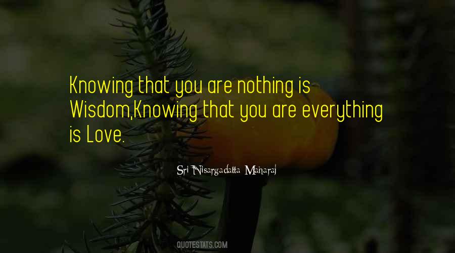 Quotes About Knowing Everything #421982