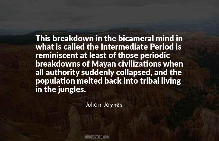 Breakdown Of Civilization Quotes #81810