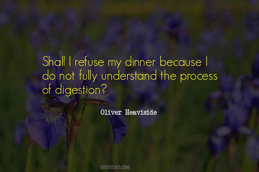 Snowbirds Crash Quotes #1147887