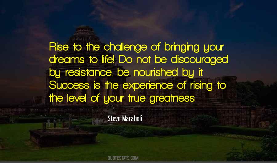Rise To The Challenge Quotes #697128